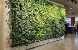 Artificial Vertical Garden Manufacturers in Jaipur